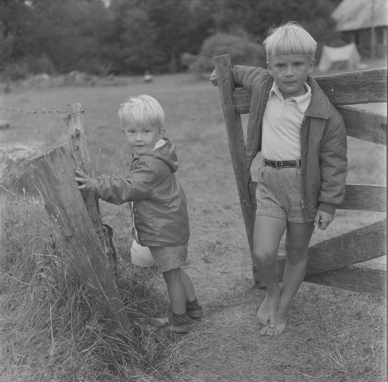 Krosside lapsed Kassari suvekodus. Märten ja Eerik-Niiles.