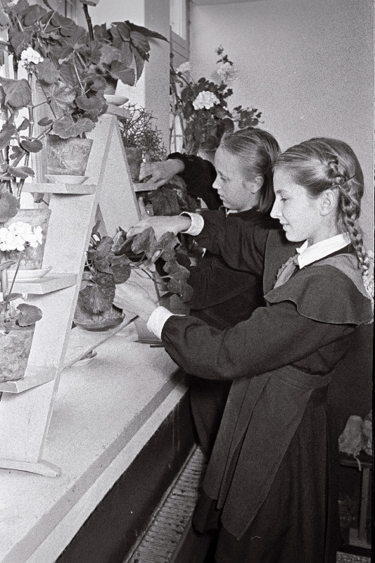 Rapla Keskkooli noored naturalistid K. Ratas (paremalt) ja K. Allas kooli elavnurgas.