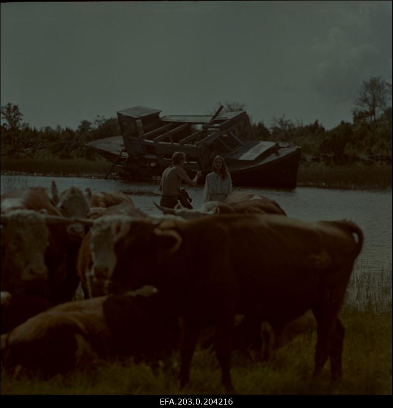 Stseen Tallinnfilmi mängufilmist "Corrida". Punulaiu idüll pullikarja ja laevavrakiga. Noor abielunaine Ragne (Rita Raave) on koos oma endise kallima Tarmoga (Sulev Luik).