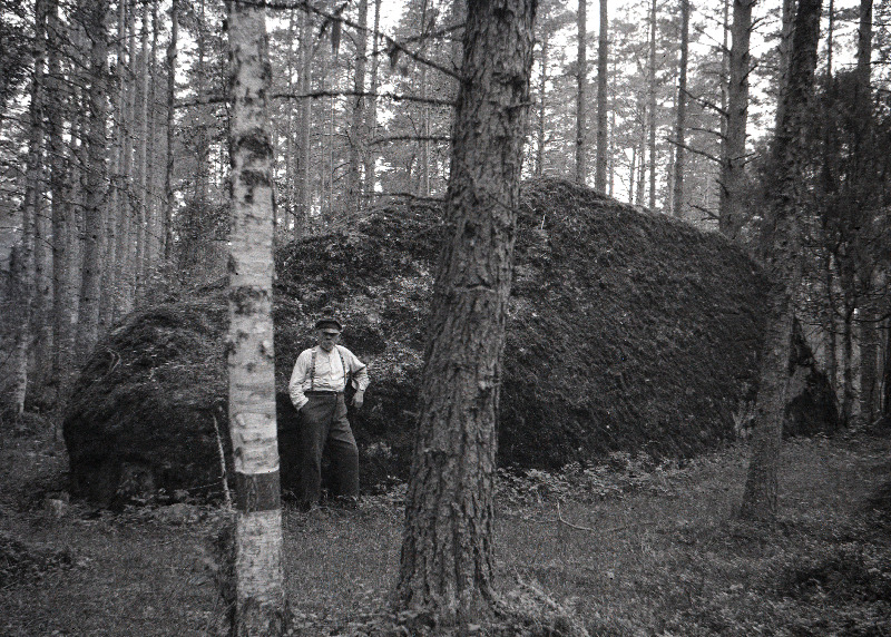 Rändrahn e. Labida kivi.