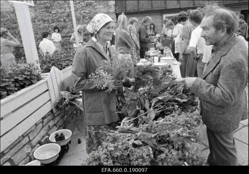 Laat Valge Daami päevade ajal.