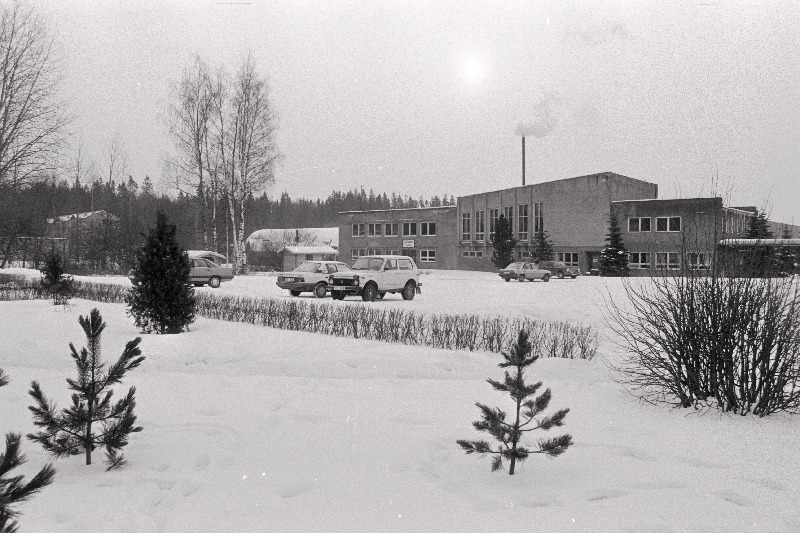 Suure-Jaani metsapunkt, metsas.