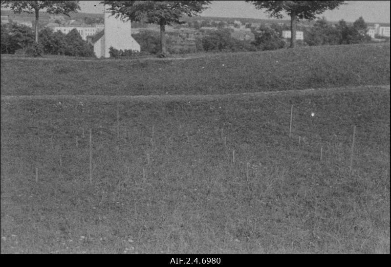 Rakvere 1959. I kaevand väliselt pärast tikkude sisselöömist - läänest.
