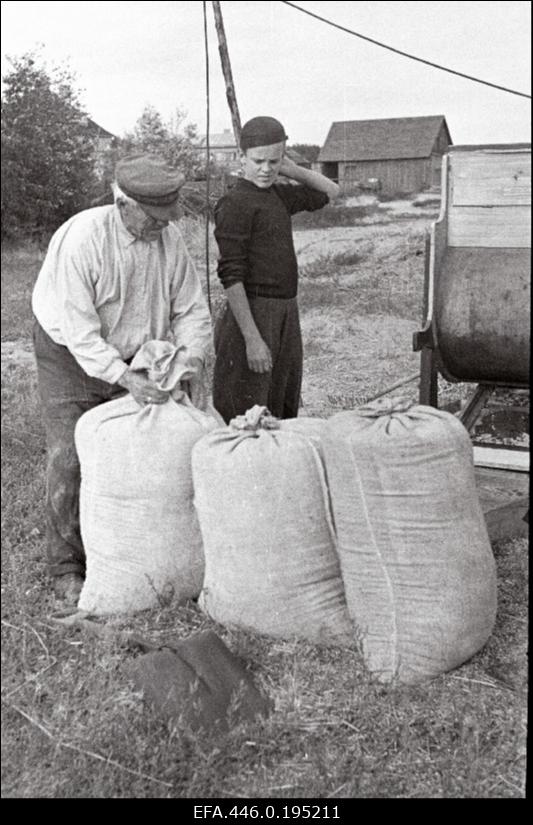 Mehed viljakottidega rehepeksumasina juures.