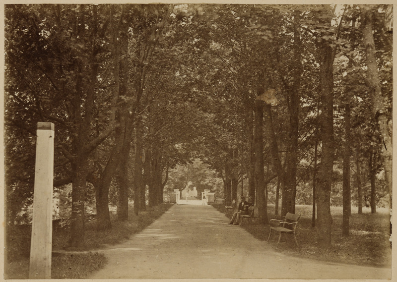 Inglisillale viiv allee Toomemäel