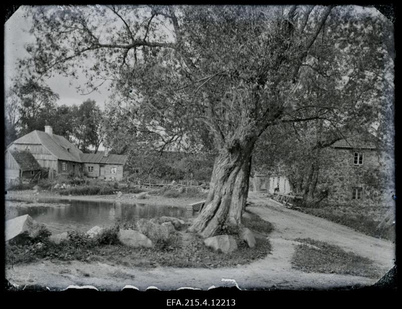 Veskihooned Kösti järve kaldal.
