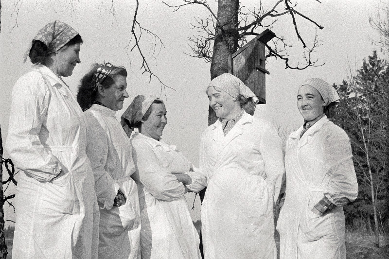 Tasuja kolhoosi Naistevalla farmi lüpsjad (vasakult) Hilja Veske, Elvi Taats, Evgenia Krabi, Helme Ploompuu ja Vaike Ainsaar.