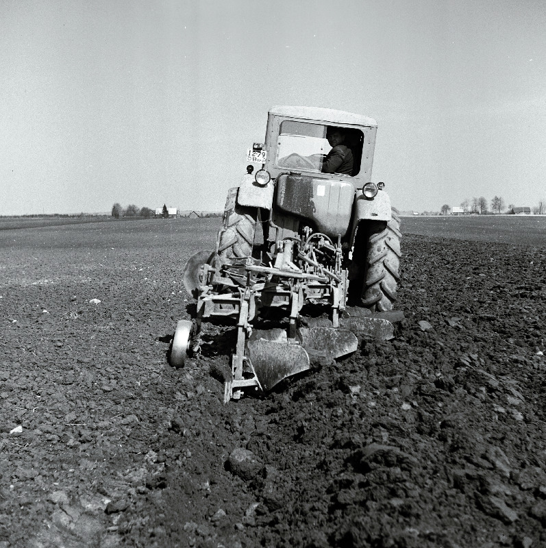 Põllutööd Jõgeva näidissovhoosis.