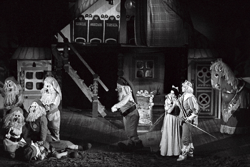 Stseen vendade Grimmide muinasjutu "Lumivalgeke ja seitse pöialpoissi" samanimelisest dramatiseeringust Eesti NSV Riiklikus Noorsooteatris. Lumivalgeke - Ene Järvis, Prints - Jüri Aarma.