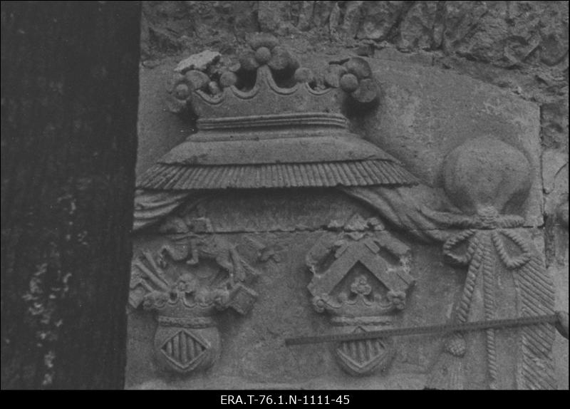 Aderkasi kabel. C. Von Buhrmeister´i vapi ülaosa parempoolsest osast.