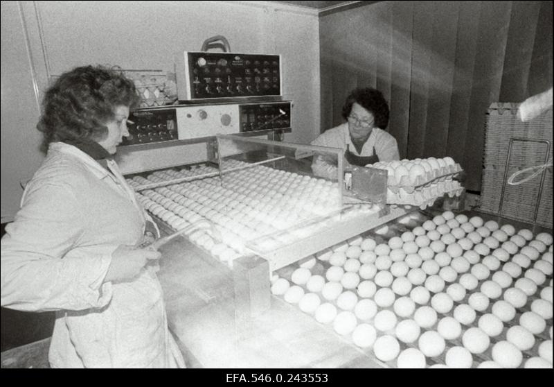 Linnuvabrik Tallegg.