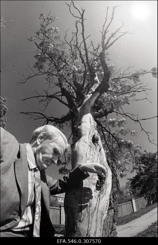 Johannes Adolf Soosaar näitab punaterroriga seotud kohti Viljandis. 1941 aastal lasti ta maha, kuid haavadest hoolimata jäi ellu .