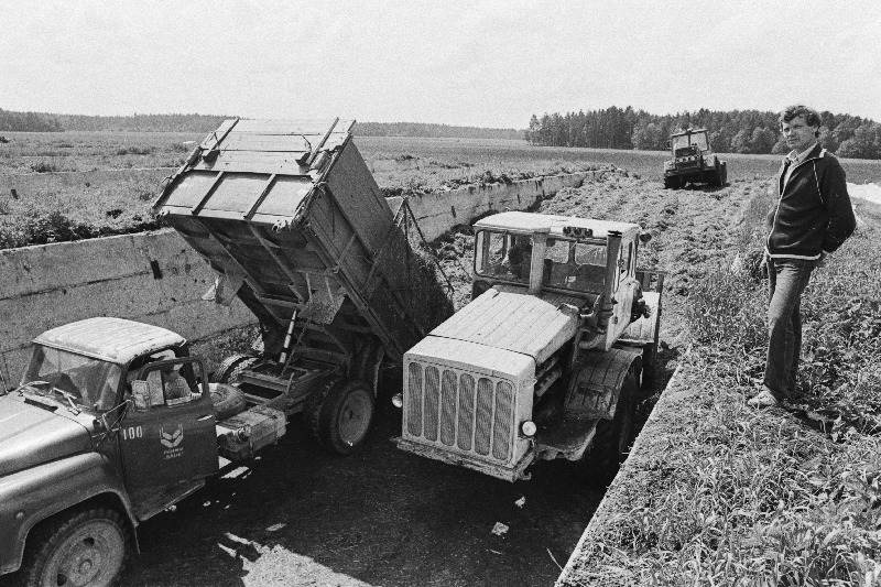 Pärnu rajooni "Säde" sovhoosi Vihtra osakonna juhataja Margus Mangusson Põllul silotegijate juures.