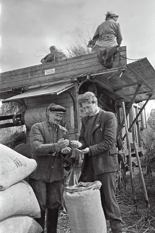 Koidu kolhoosi agronoom A. Almers ja brigadir M. Ojarand uudsevilja vaatamas.
