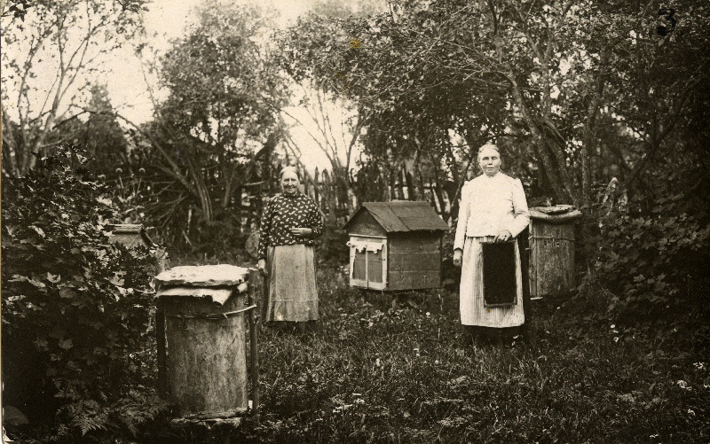 Talu raam-ja pakktarud. Poanse küla.