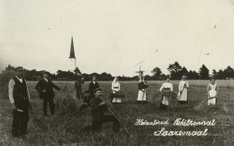 Heinalised, taga Kihelkonna Mihkli kirik ja pukktuulik.