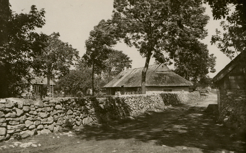 Tänav Igakülas.