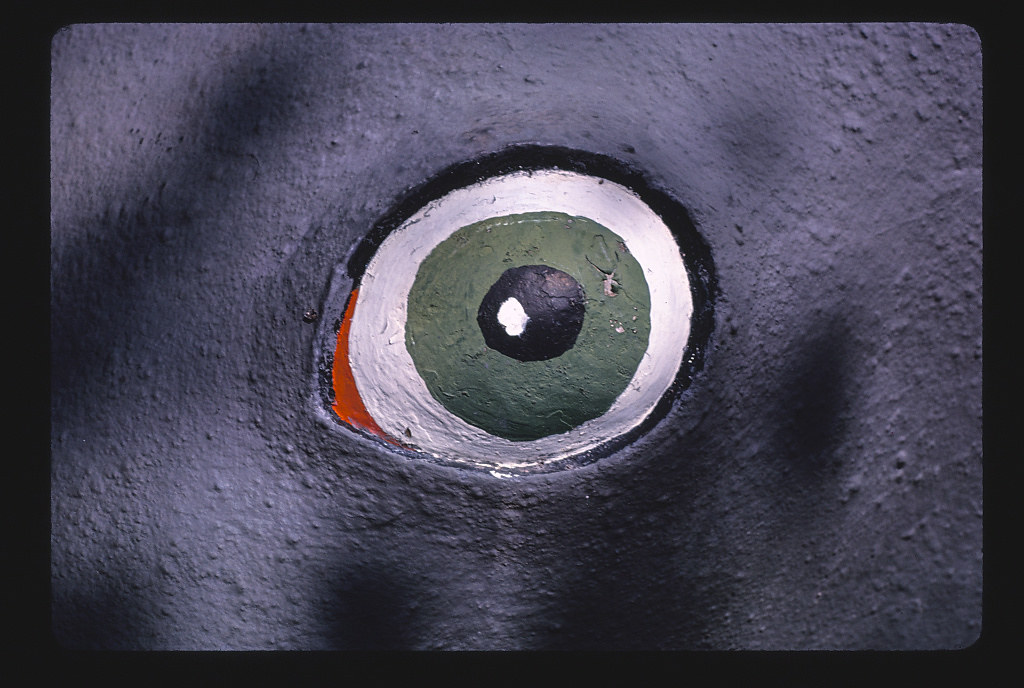 Thunderbeast Park, platybelodon's eye, Route 97, Chiloquin, Oregon (LOC)