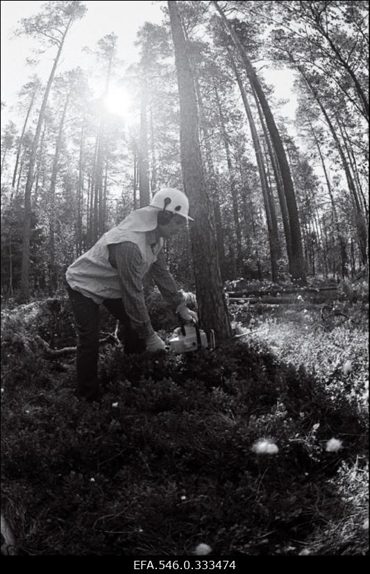 Kullamaa mesila. Pressipäev Kullamaal.