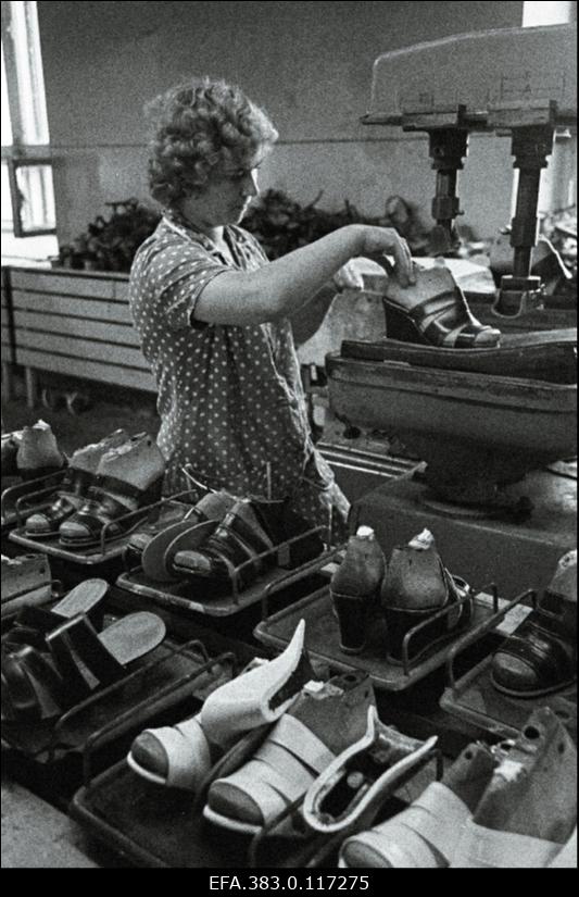 Naha- ja Jalatsite Tootmiskoondise "Kommunaar" Rakvere tsehh.