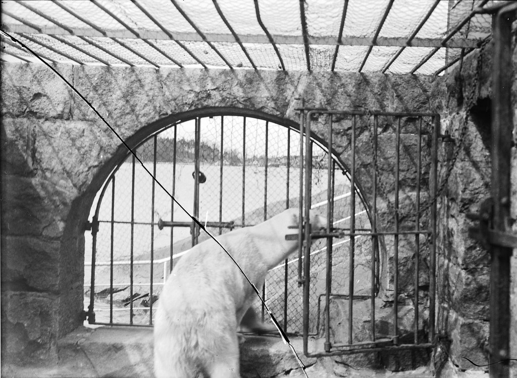 Helsinki Zoo