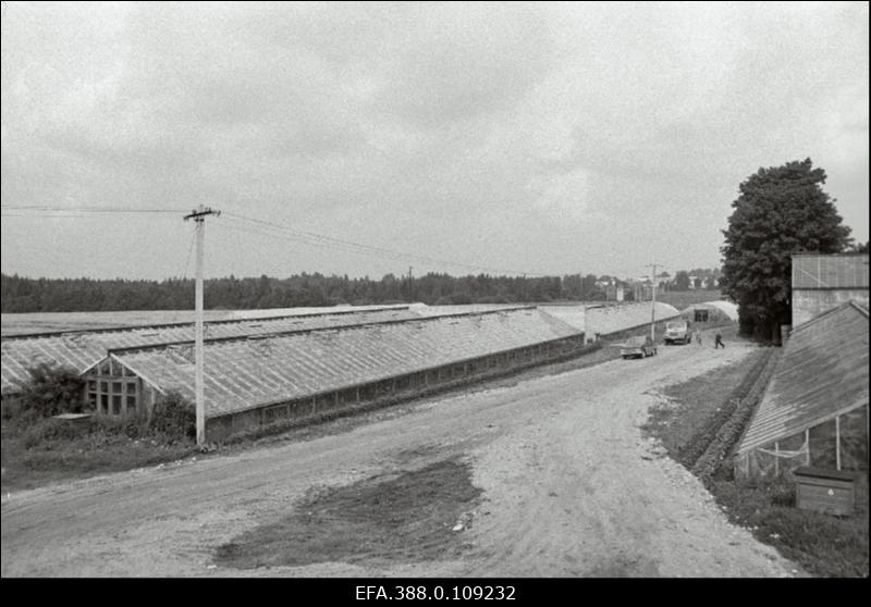 Viljandi rajooni Paala kolhoosi aiand.