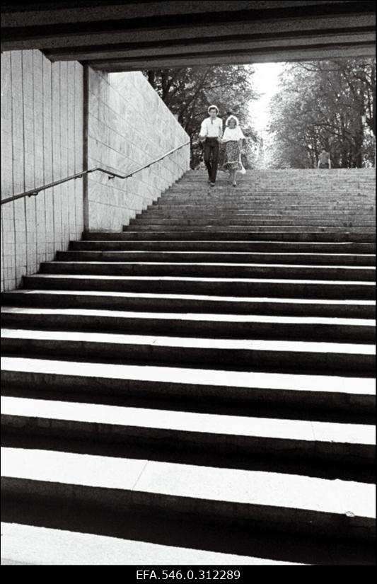 Tallinna vaated, "Tallinn korda"