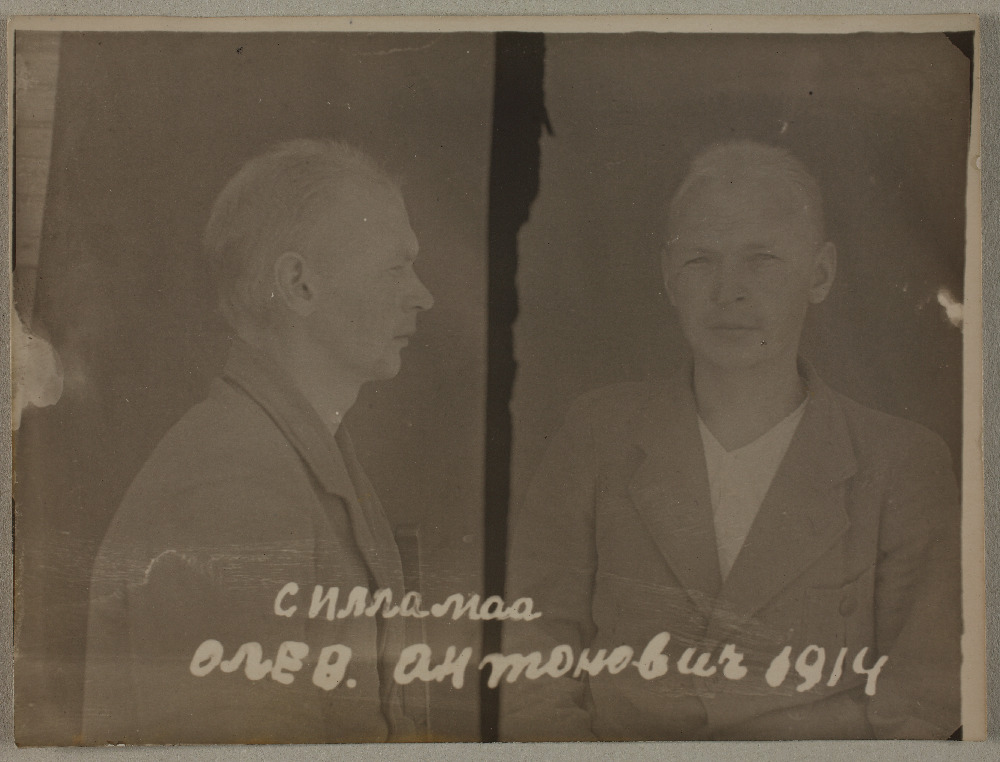 Olev Sillamaa (vangifoto)
