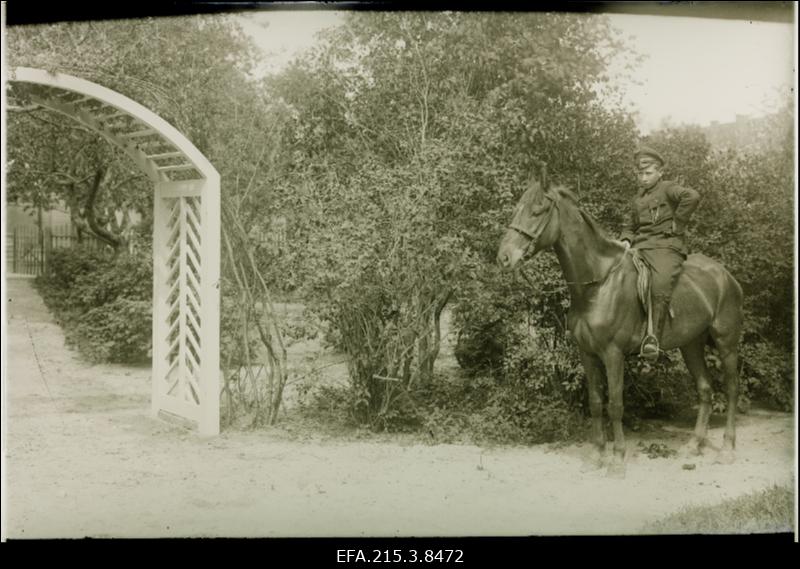 1920-1922 hävinenud klinkeks nimetatud aed-park Vaksali ja Tallinna tänavate vahelisel alal Viljandis.