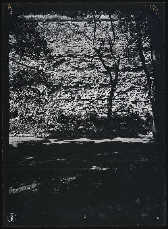 Narva linn. Bastionid. Narva linnakindlustused. Stereofotogramm-meetriline mõõdistamine.