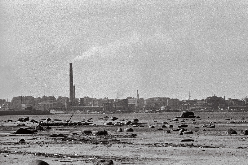 Tallinna panoraam (võetud Piritalt) ja valge reisijate laev saabub Tallinna.