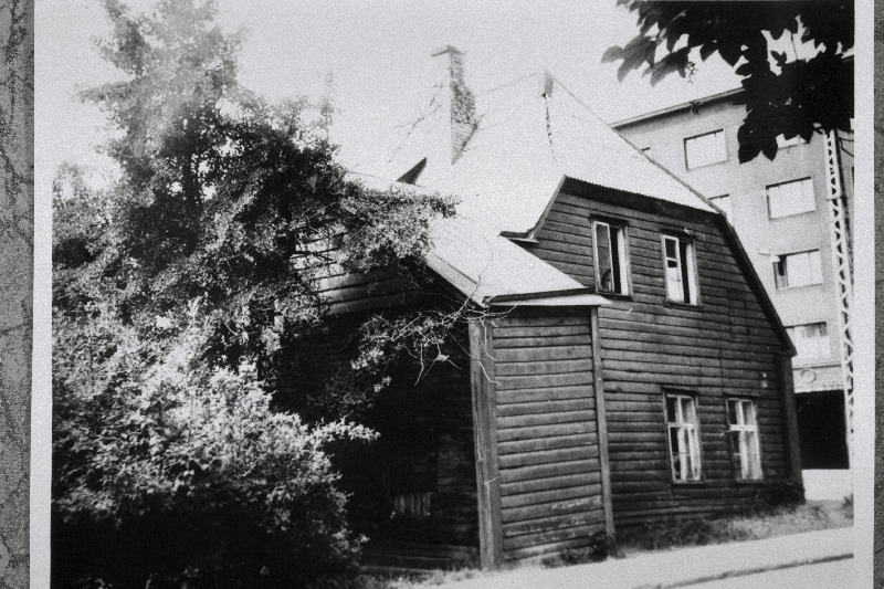 Vaade P. Süda tänavalt endise Tallinna metsaülema Kühnerti majale Pärnu mnt 29, esiplaanil hõlmikpuu (ginko).