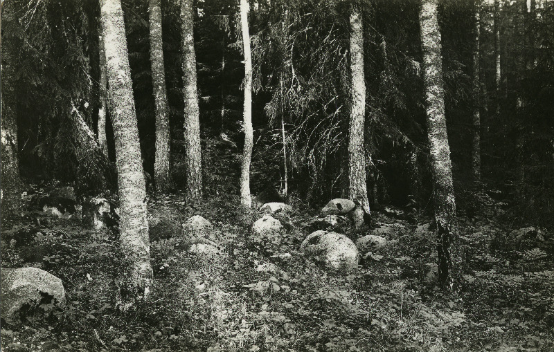 Gooti haud Kärde mõisa lähedal metsas.