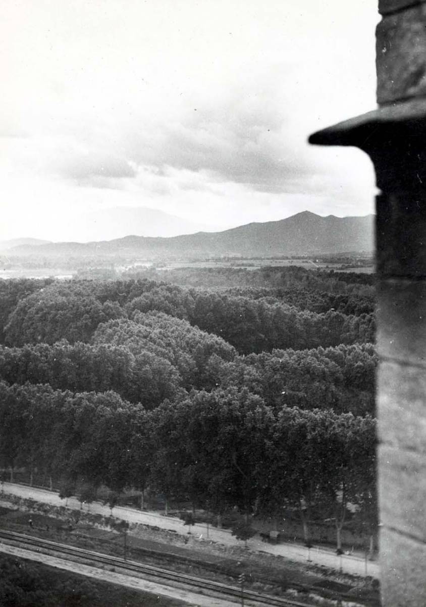 [The Meadow] - The Dehesa seen from the bell tower of the church of Sant Feliu