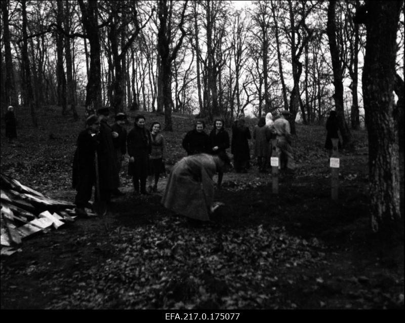 Rakvere Tammikus olnud sakslaste kalmistu likvideerimine.