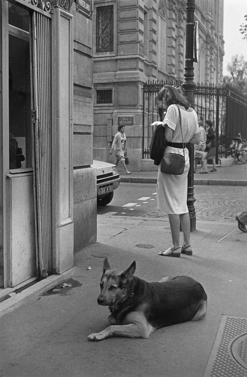 People and dogs in Paris, France, in autumn 1982.; Ihmisiä ja koiria Pariisissa syksyllä 1982.