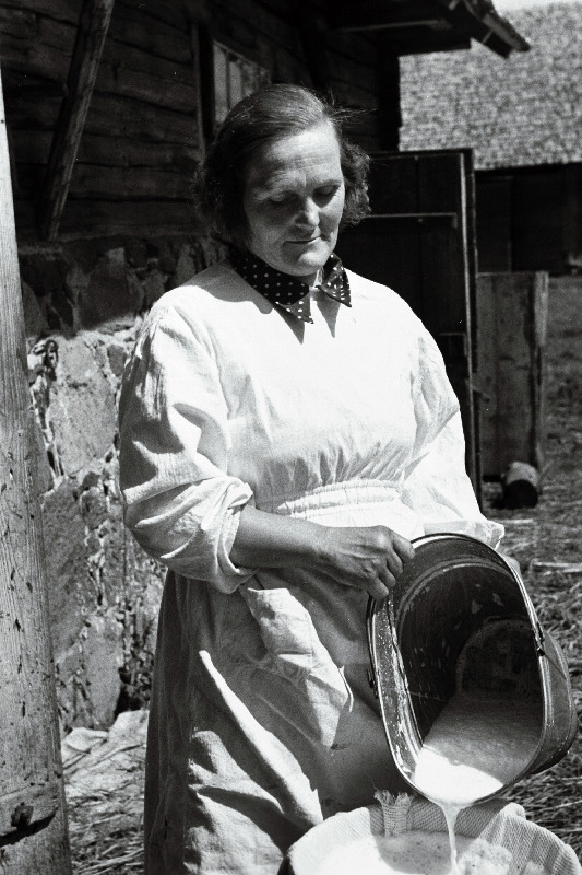 Koidu kolhoosi lüpsja P. Järvekülg.