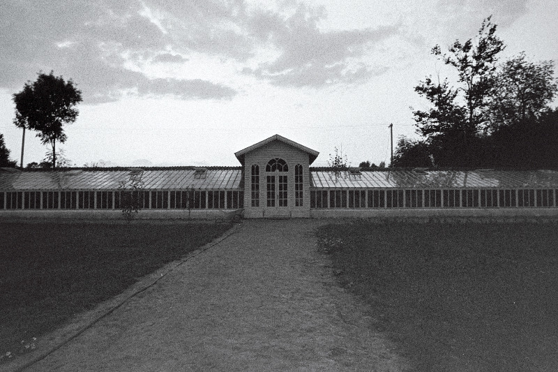 Vaade Palmse mõisa palmimajale.