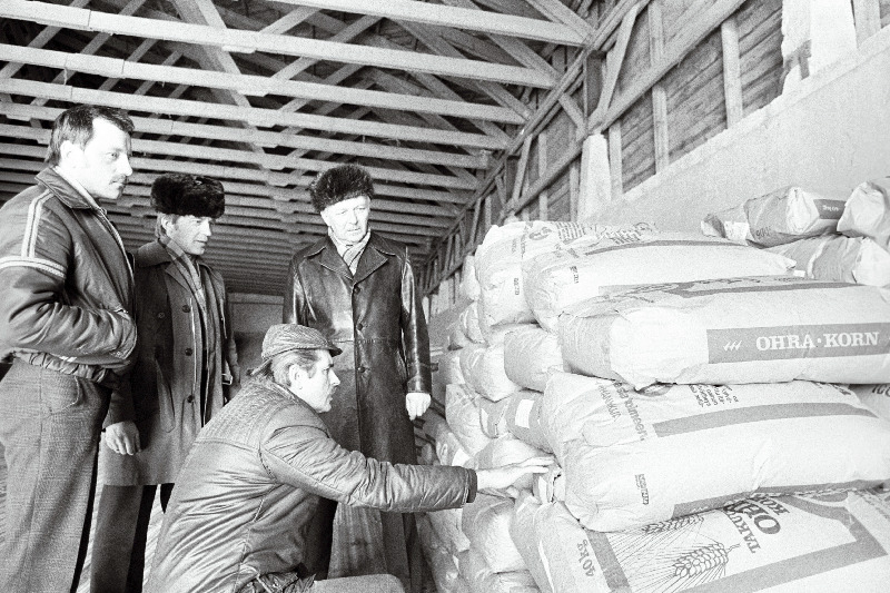 Tartu Näidissovhoosi direktor Heino Parik, Ilmatsalu osakonna juhataja Toivo Talango, sovhoosi parteikomitee sekretär Nikolai Männik ja EKP Tartu Rajoonikomitee instruktor Anton Palubinskas uurivad Soomest saadud super-eliitklassi teravilja hoidmistingimusi.