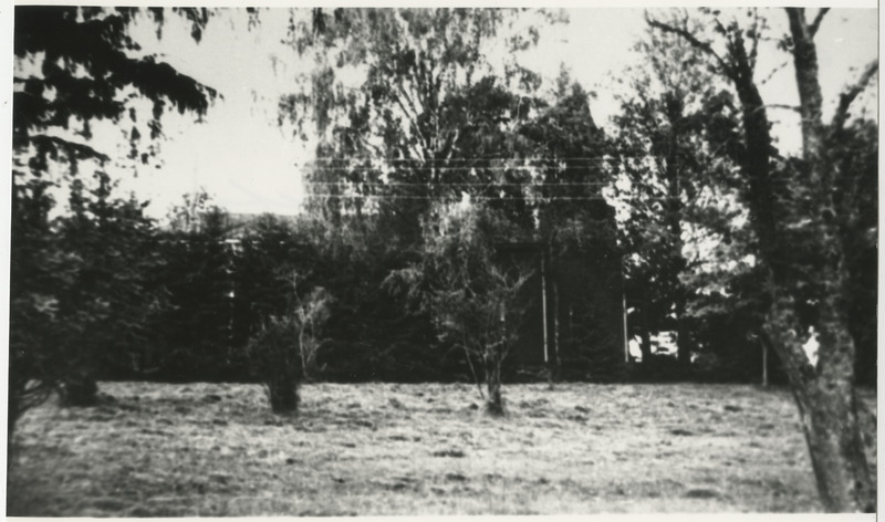 Laanemetsa Peeter-Pauli kirik