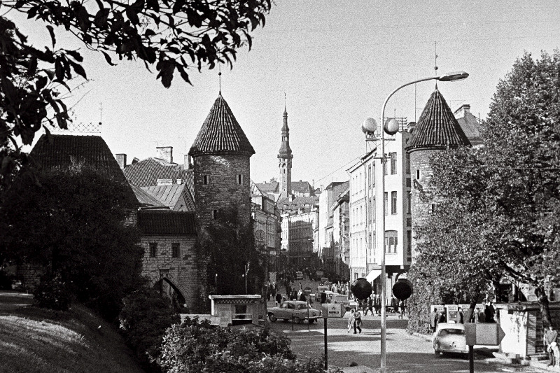 Viru tänav