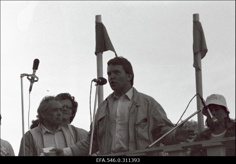 Delegatsioon lauluväljakul.