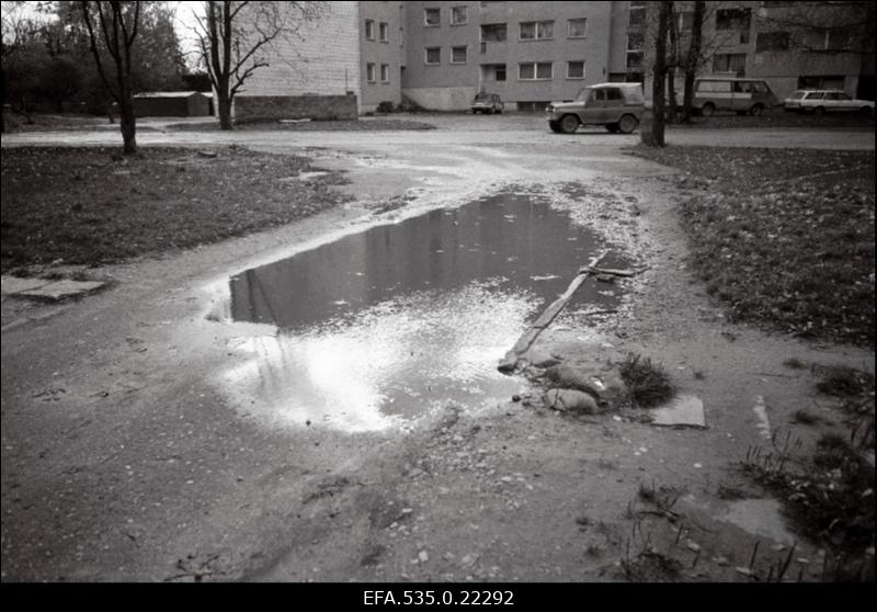 Augud Reinu teel.