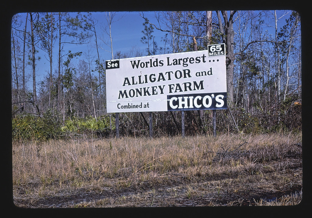 Chico's billboard, Route 17, Georgia (LOC)