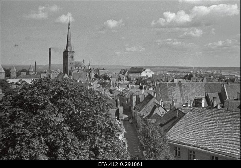 Vanalinna panoraam Toompealt. (suvine päev).