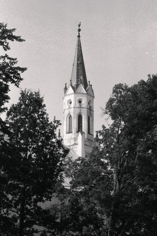 Paistu päev (I), näitused kirikus, lipu õnnistamine.