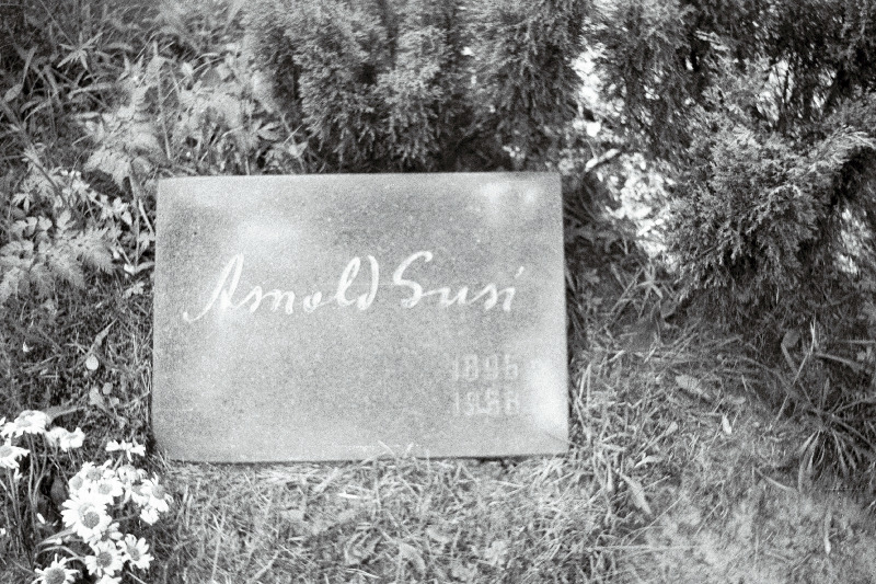 Juristi ja kultuuritegelase Arnold Susi hauakivi Metsakalmistul.