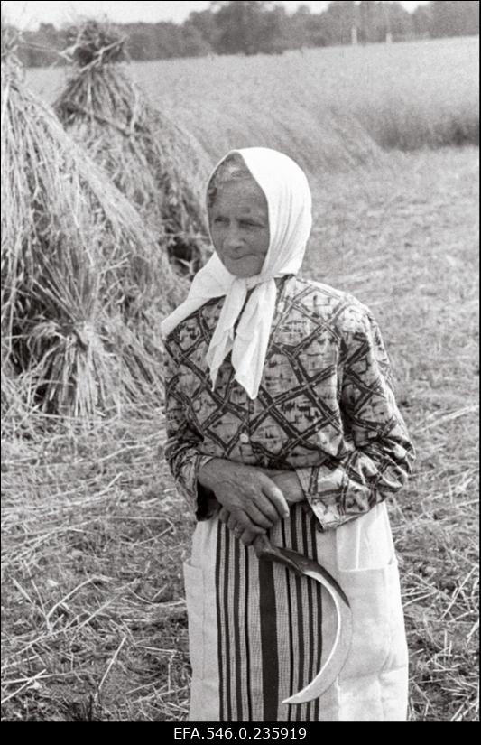 Lõikuspäev. Naine sirbiga.