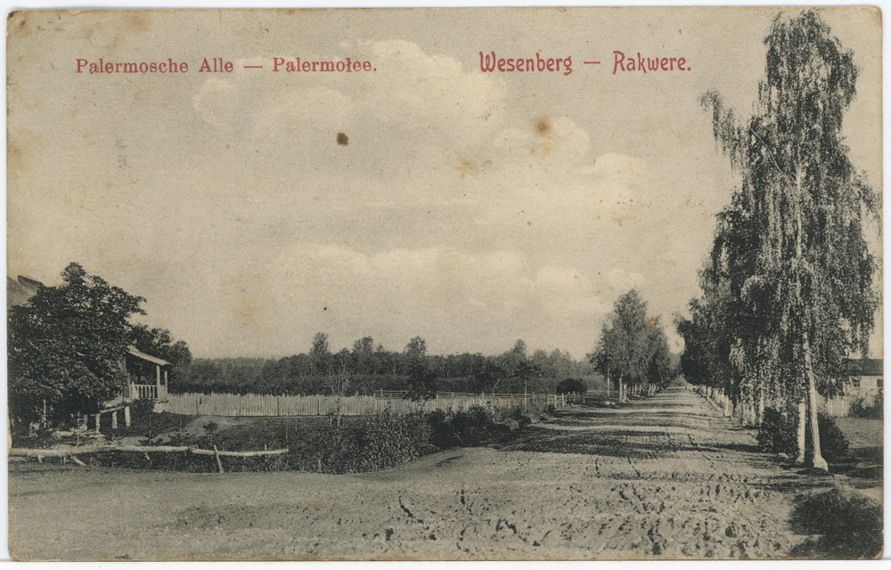 Vaade Palermo alleele Rakveres, fotopostkaart