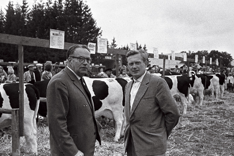 Vändra Veisekasvatuse Katsejaama direktor E. Keevallik ja katsejaamateaduslik töötaja M. Metsalt Tori näidissovhoosis toimunud tõukarjanäitusel.